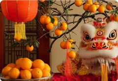 新年賀詞 | 筑夢(mèng)未來(lái)，在這里展翅騰飛